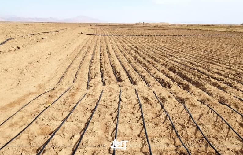 انواع آبیاری باغ